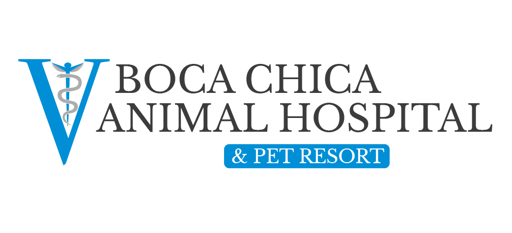 Boca Chica Animal Hospital logo